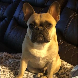 🌸💕My sweet boy!🌸💕